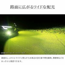 【送料無料】【安心保証】純正LED用 フォグランプ 単色 6500k 3000k 4000k バルブ ホワイト イエロー HID屋 車検対応 ホンダ車に_画像5