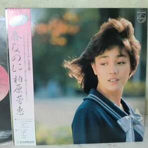 (BB)何点でも同送料 LP/レコード/帯/柏原芳恵 / 春なのに 中島みゆき、28PL-50の画像1