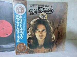 (D) what point also same postage LP/ record / with belt / David *kava- dill [ white Sune ik/David Coverdale Whitesnake/MWF1027