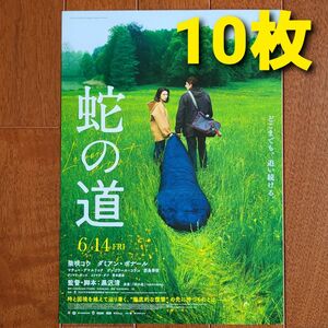 映画　蛇の道　フライヤー　チラシ　柴咲コウ　西島秀俊