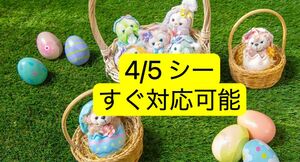 4月5日 ディズニーシー　オンライングッズ購入用入園済みチケット