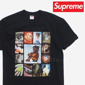 SUPREME シュプリーム 19SS Original Sin Tee Black Tシャツ