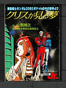 [Vintage] [New] [Delivery Free]1989 Animege文庫Jr MOBILE SUIT GUNDAM0080 War In The Pocket Chris's Dream クリスが見る夢 [tag1111]