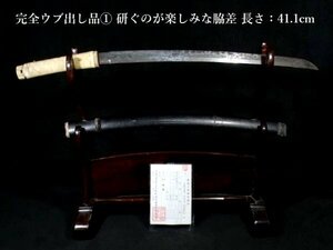 完全ウブ出し品①　脇差 　長さ：41.1cm　研ぐのが楽しみな一振りです 【安値出発】k173