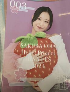 【小田さくら】コレクションピンナップポスター ピンポス 「Hello! Project　ひなフェス 2024」