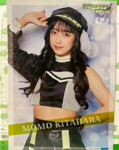 【北原もも・9】コレクションピンナップポスター ピンポス Hello! Project 「OCHA NORMA LIVE TOUR 2024 ～ウチらの地元は日本じゃん！～」