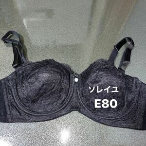 シャンデール ブラジャー E80 ソレイユ　補正下着