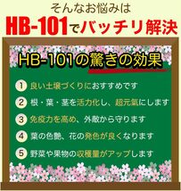 フローラ 植物活力剤 HB-101 即効性 希釈済み 1L_画像5