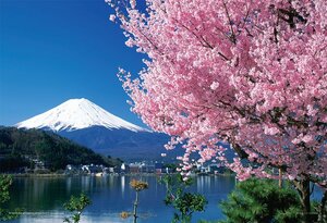 108ピース ジグソーパズル 桜と富士(山梨) ラージピース(26x38cm)