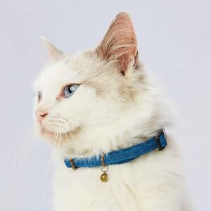 petio(Petio) necklace necocone here cat color polyester blue cat 