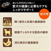 シーザードライ 成犬用 超小粒 ドッグフード チキンと4種の農園野菜入り 1.5キログラム (x 1)_画像5