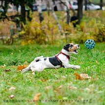 JW Pet Company 犬用おもちゃ ベイビー ホーリーローラー レッド_画像10