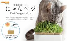 ハリオ (HARIO) 猫草栽培キット にゃんベジ その他 セット 猫_画像2