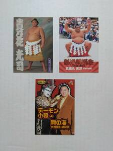 BBM 大相撲カード（貴乃花光司、武蔵丸光洋、舞の海）スポーツカードマガジンの雑誌付録　3枚セット
