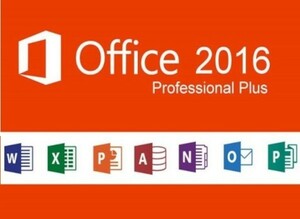 [ immediately respondent ]Office2016 Professional Plus Pro duct key // download version < Japanese edition *.. version *PC for 1 vehicle >