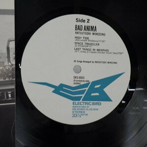 森園勝敏「バッド・アニマ」LP（12インチ）/Electric Bird(SKS 8003)/Jazzの画像2