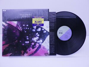 鳥山雄司「A Taste Of Paradise」LP（12インチ）/Agharta(C28Y0125)/ジャズ