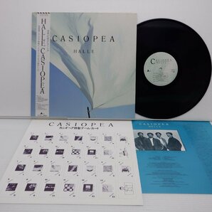 Casiopea「Halle」LP（12インチ）/Alfa(ALR-28071)/ポップスの画像1