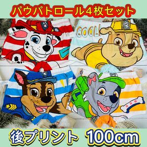 F 新品　パウパトロールパンツ　パウパトボクサーパンツ　前閉じ　男の子下着100