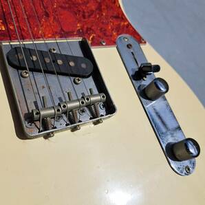 Fender Japan フェンダージャパン Telecaster テレキャスター  手渡し歓迎の画像6