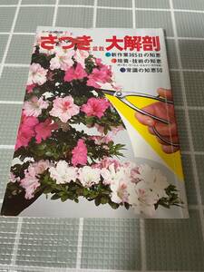 さつき盆栽大解剖 月刊近代盆栽・別冊 近代出版 1985 大型本 園芸 ガーデニング 植物 盆栽 新作業365日の知恵 培養・技術の知恵 