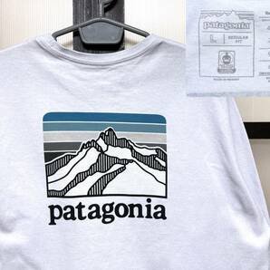 パタゴニア プリント ロングT シャツ / patagonia ロンT 長袖 アウトドアの画像1