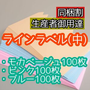 オーダー可 ラインラベル 中300枚 茶桃青 園芸ラベル カラーラベル 多肉植物 エケベリア 観葉植物 サボテン ハーブ 山野草