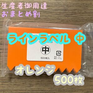 ラインラベル 中 オレンジ 500枚 園芸カラーラベル 多肉植物 エケベリア