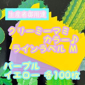 ラインラベル 中 紫&黄 各100枚 園芸カラーラベル 多肉植物 エケベリア
