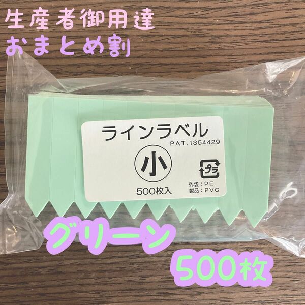 ラインラベル 小 グリーン 500枚 園芸カラーラベル 多肉植物 エケベリア