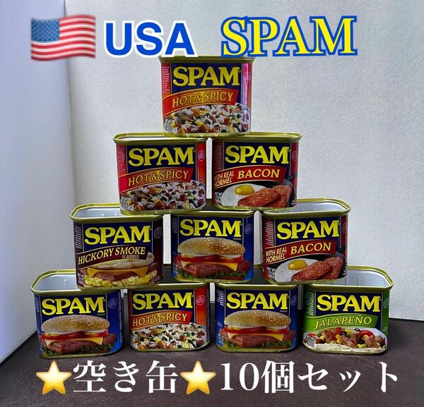 スパム SPAM USA 空き缶 10個 セット