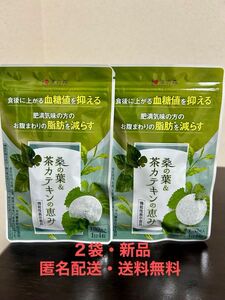 【匿名配送・送料無料】和漢の森 桑の葉 & 茶カテキンの恵み 120粒入 ×2点