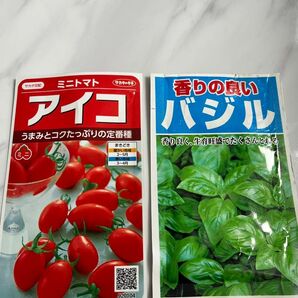 種　アイコ　トマト　バジル　 ミニトマトの種 ミニトマト プチトマト 種袋無し 種のみ送付 ベランダ栽培にも