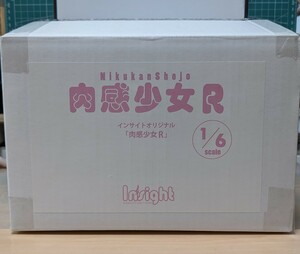 Insight　インサイト　肉感少女R 1/6スケール　バニー　　フィギュア