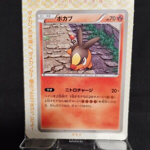 ポケモンカード 2011年 付録 ポカブ ツタージャ ミジュマル ピカチュウ ズルッグ ビクティニ まとめ売りの画像5