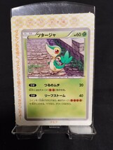 ポケモンカード　2011年 付録　ポカブ ツタージャ ミジュマル　ピカチュウ　ズルッグ　ビクティニ　まとめ売り_画像6