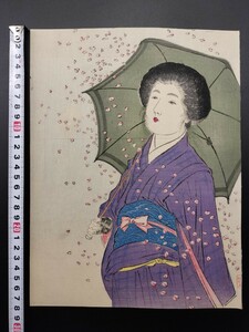 Art hand Auction 【真作】口絵 本物浮世絵木版画 武内桂舟｢桜吹雪｣美人図 明治期 大判 錦絵 保存良い 清方 年方 玉堂 桂舟 半古 広業 月耕 永洗 華邨 英朋, 絵画, 浮世絵, 版画, 美人画