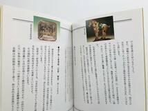 【溪】書籍　骨董（古美術）の楽しみ方　やさしい陶磁器入門　1994年　古美術柳井　私家版　非売品　古美術　骨董　希少な書籍_画像7