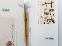 【溪】図録　俳句　その魅力展　子規　漱石　虚子　井泉水　山頭火　2006年 神奈川近代文学館　神奈川文学振興会　美品_画像3