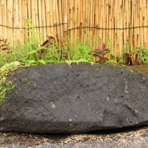 蹲 横幅41cm 重量11kg 石鉢 庭石 九州産天然石の画像7