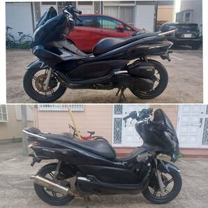 ホンダ PCX125 JF28後期 WW125EX2C-J 2012年モデル の画像2