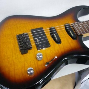 FERNANDES フェルナンデス エレキギター ソフトケース付の画像2