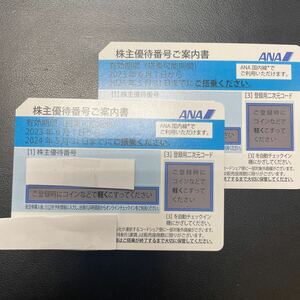 17528A【10〜18時番号通知対応可能/送料無料/普通郵便】ANA 全日空 株主優待　2024/5/31 2枚