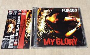 ファンガス/FUNGUS「MY GLORY」CD+DVD/TRACY
