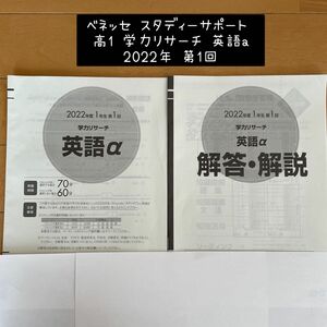 ベネッセ スタディーサポート 2022年 高1 第1回 学力リサーチ 英語a 