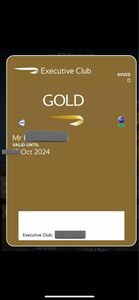 ブリティッシュエアウェイズ エグゼクティブゴールド ワンワールドエメラルド 6ヶ月間有効