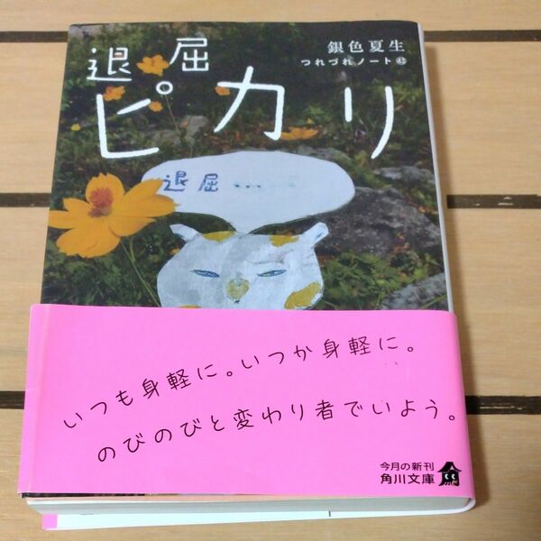 退屈ピカリ （角川文庫　き９－４４　つれづれノート　４３） 銀色夏生／〔著〕