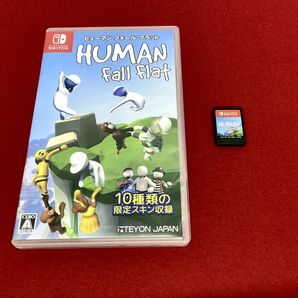 【E310】美品 ニンテンドースイッチ Nintendo Switch ヒューマン フォール フラット/HUMAN fall flat ソフトの画像3