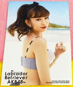 AKB48 ラブラドールレトリバー 通常盤封入特典生写真 小嶋陽菜 水着