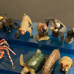 チョコエッグ 日本の動物コレクション 海洋堂 シークレット2体含む26体セットの画像4